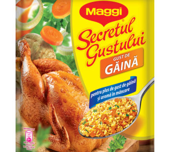 Maggi secretul gustului cu pui 75g