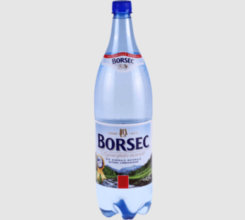 Borsec apa minerala 1L