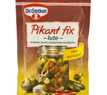 Pikant-fix Dr. Oetker iute 100g