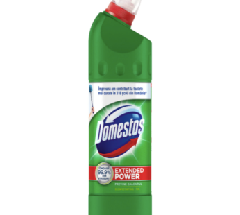 Domestos dezinfectant inalbitor anticalcar Pine 750ml